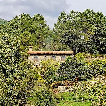 Casa Rural En Candeleda Con Piscina Y Un Maravilloso Jardin Eksteriør bilde