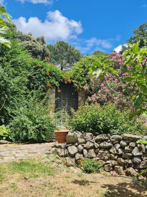 Casa Rural En Candeleda Con Piscina Y Un Maravilloso Jardin Eksteriør bilde