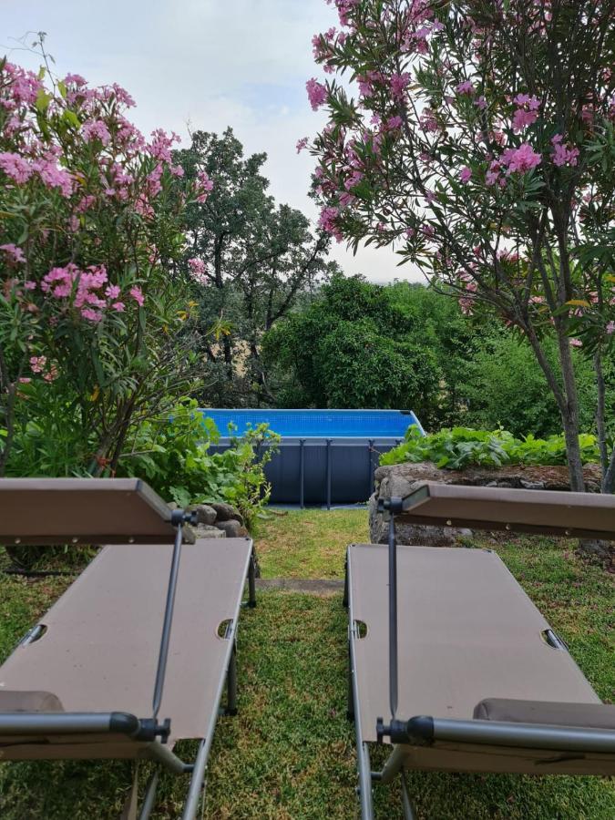 Casa Rural En Candeleda Con Piscina Y Un Maravilloso Jardin Eksteriør bilde