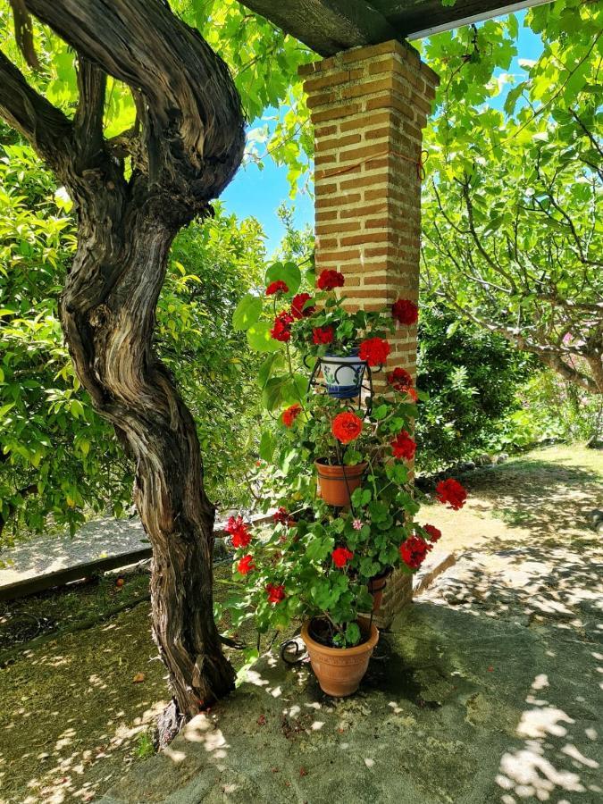 Casa Rural En Candeleda Con Piscina Y Un Maravilloso Jardin Eksteriør bilde