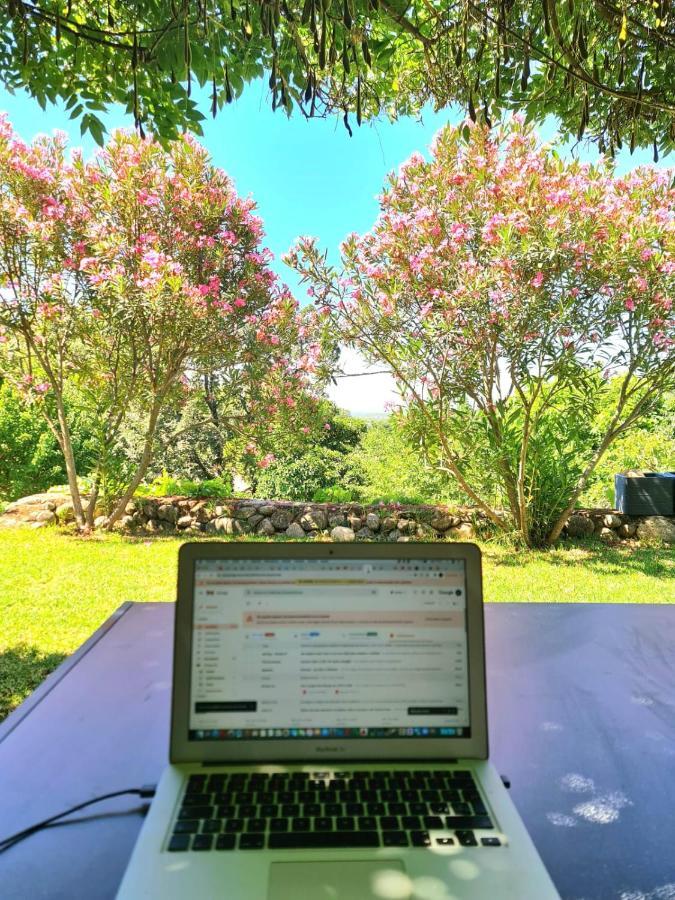 Casa Rural En Candeleda Con Piscina Y Un Maravilloso Jardin Eksteriør bilde