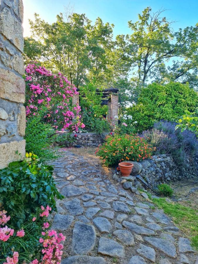 Casa Rural En Candeleda Con Piscina Y Un Maravilloso Jardin Eksteriør bilde