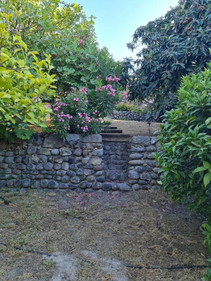 Casa Rural En Candeleda Con Piscina Y Un Maravilloso Jardin Eksteriør bilde