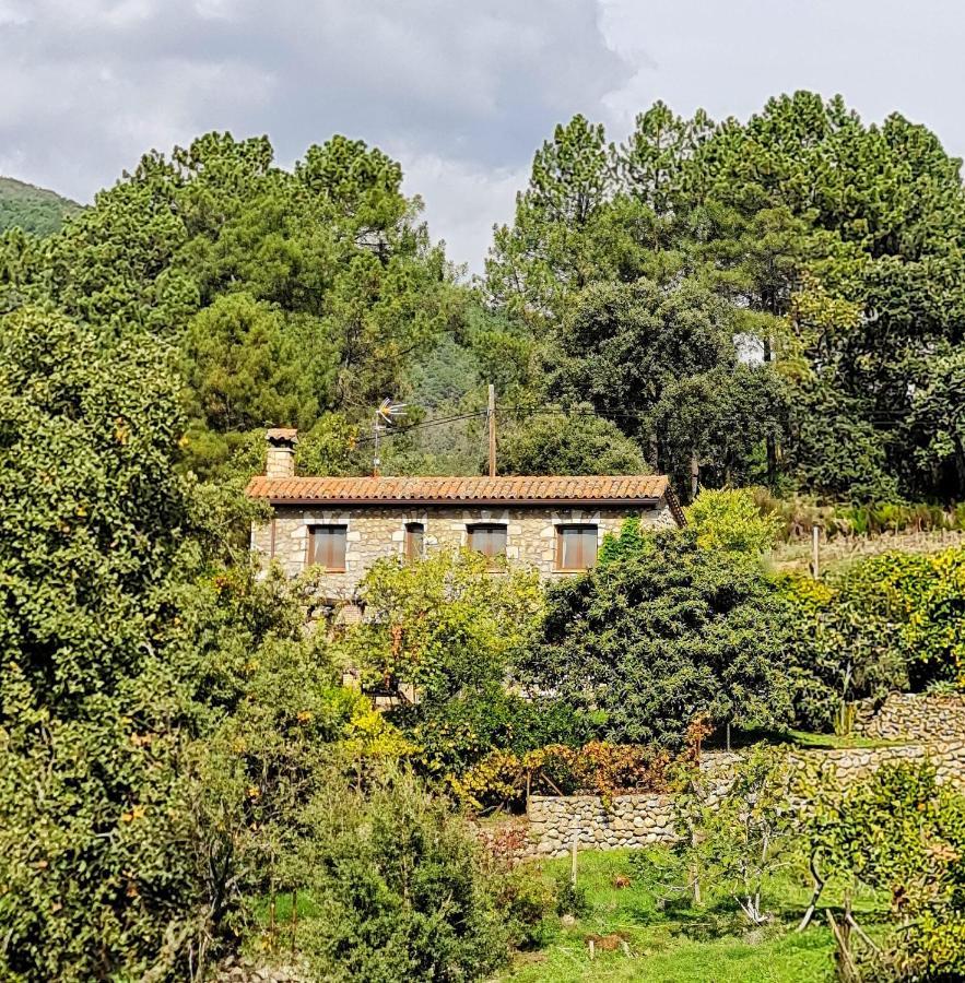 Casa Rural En Candeleda Con Piscina Y Un Maravilloso Jardin Eksteriør bilde