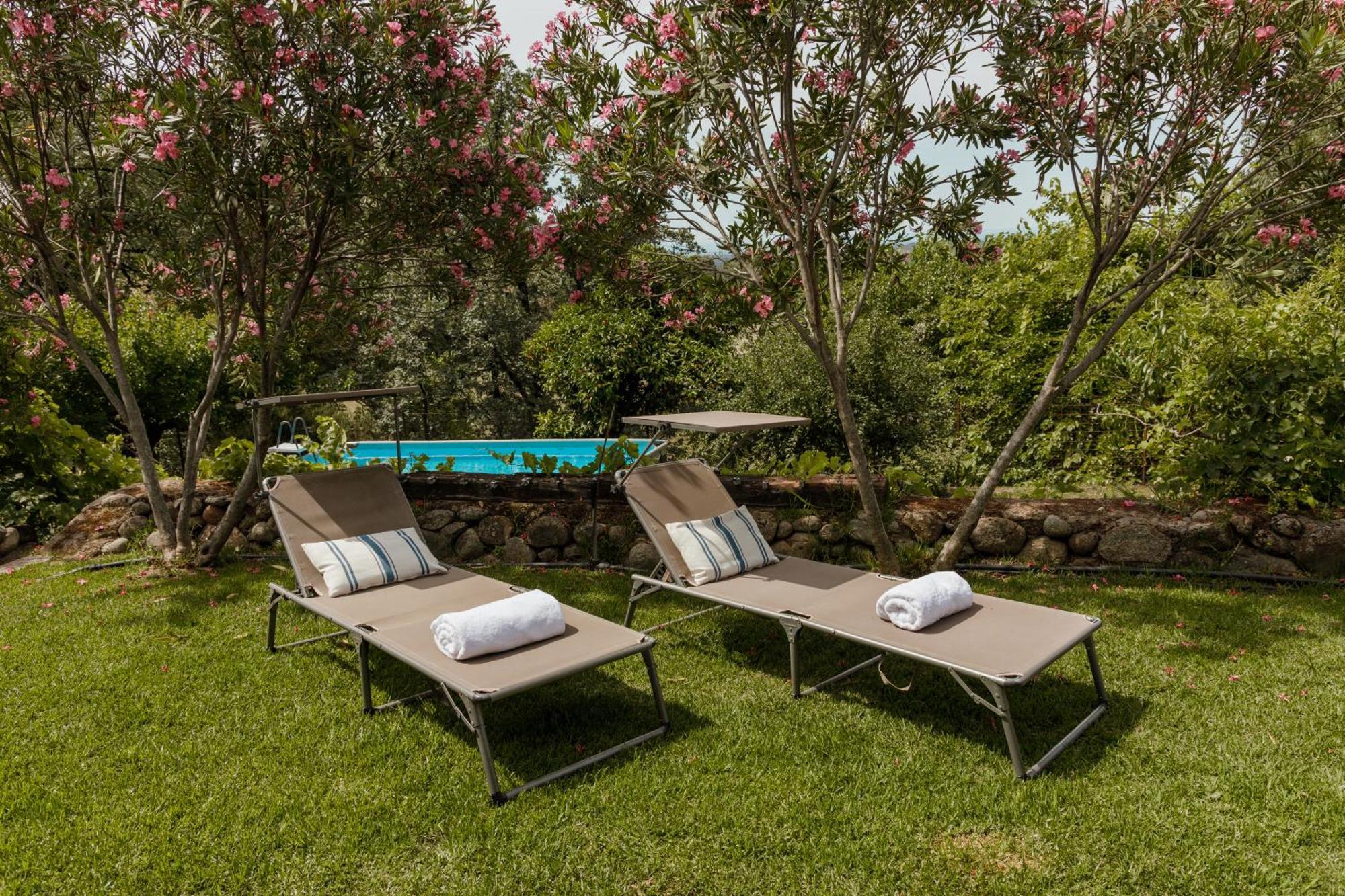 Casa Rural En Candeleda Con Piscina Y Un Maravilloso Jardin Eksteriør bilde