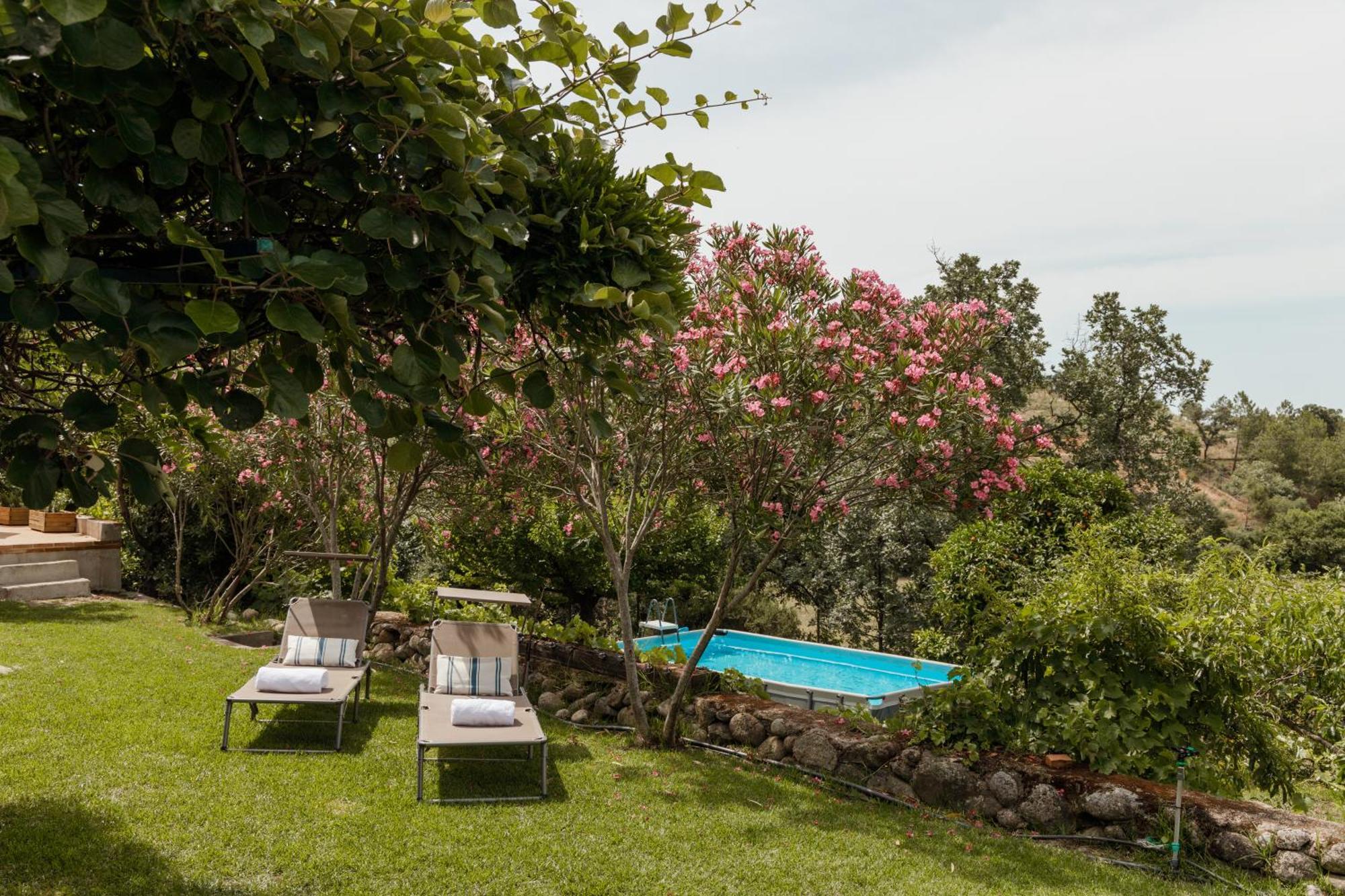 Casa Rural En Candeleda Con Piscina Y Un Maravilloso Jardin Eksteriør bilde