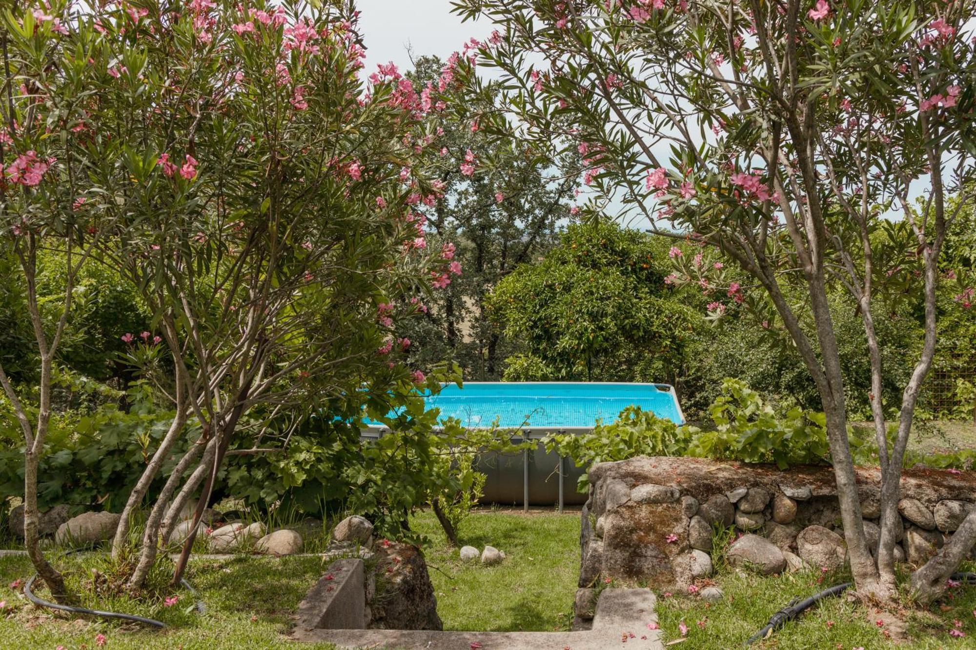 Casa Rural En Candeleda Con Piscina Y Un Maravilloso Jardin Eksteriør bilde